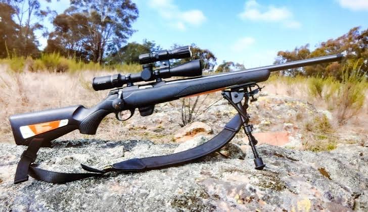Tikka T1x MTR .17 HMR Rimfire Precision Rifle